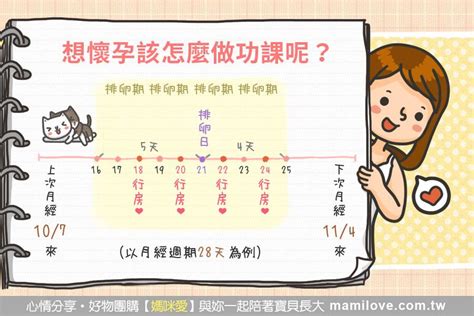 想要懷孕|想懷孕該怎麼做？女性養卵吃什麼？4大備孕養卵妙招一次公開